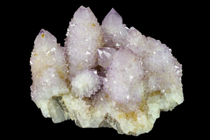 Cactus Quartz (Amethyst) Crystal Cluster - South Africa #132523